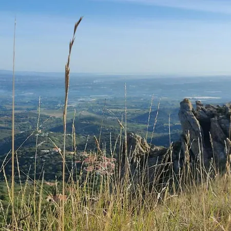 Dels Ocells Camélas