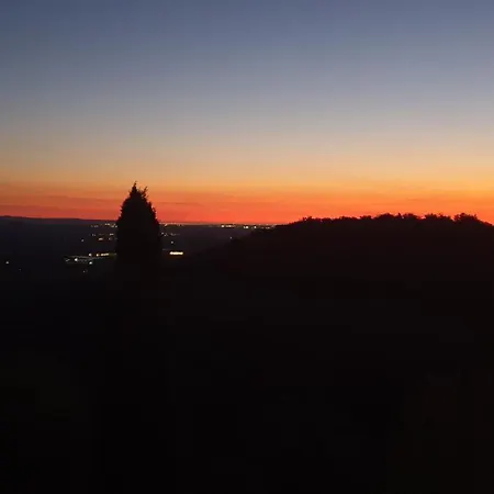 Dels Ocells Nyaraló *