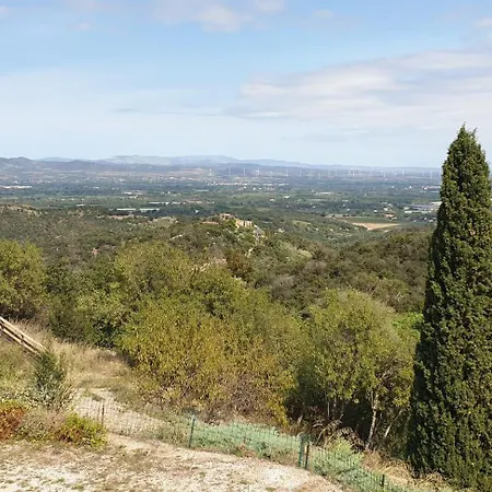 Dels Ocells Camélas