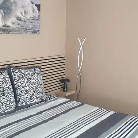 Dels Ocells Camélas