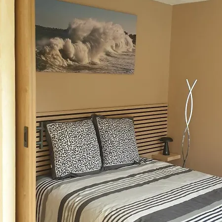 Dels Ocells Nyaraló Camélas