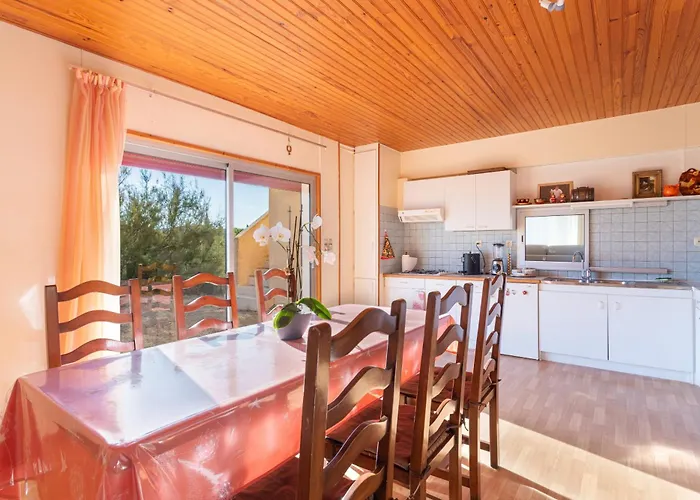 Dels Ocells * Camélas