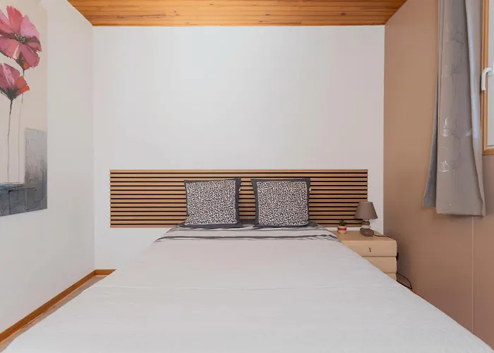Holiday home Dels Ocells Camelas