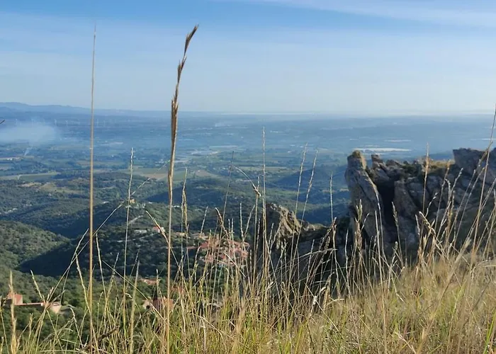 Dels Ocells Camélas