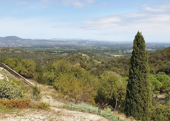 Dels Ocells Camélas