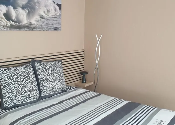 Dels Ocells Camélas