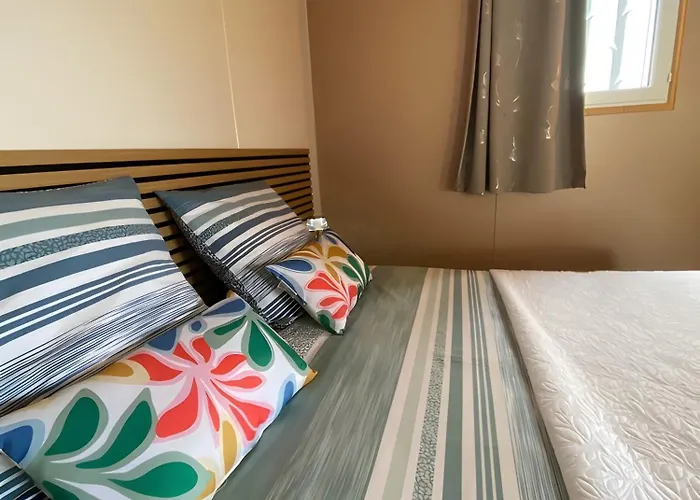 Dels Ocells Holiday home Camelas
